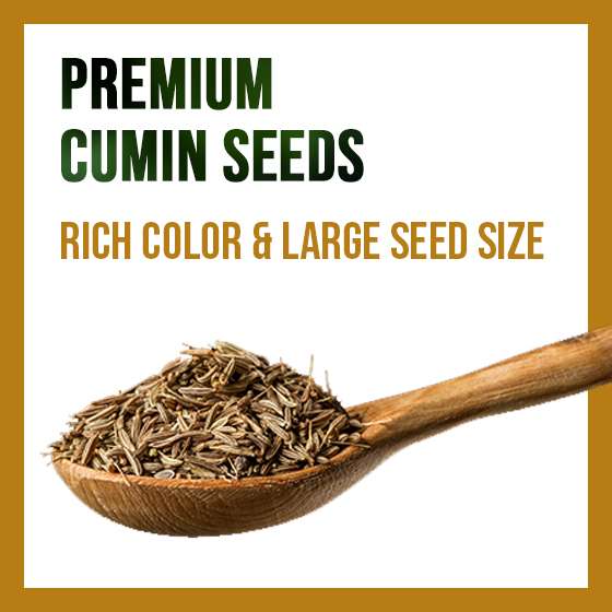 cumin-tile